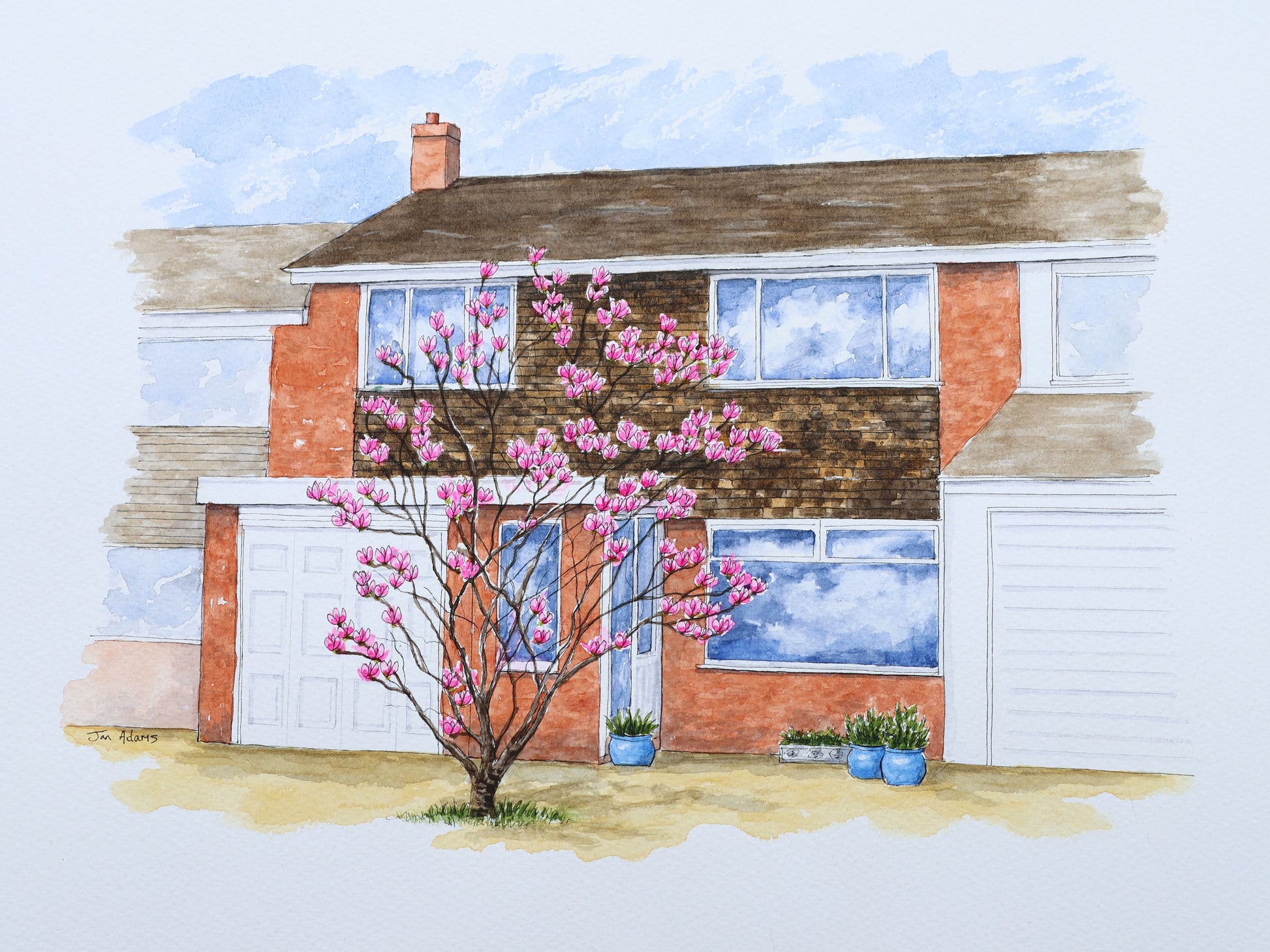 Magnolia tree in front of mid terrace house painted in watercolour